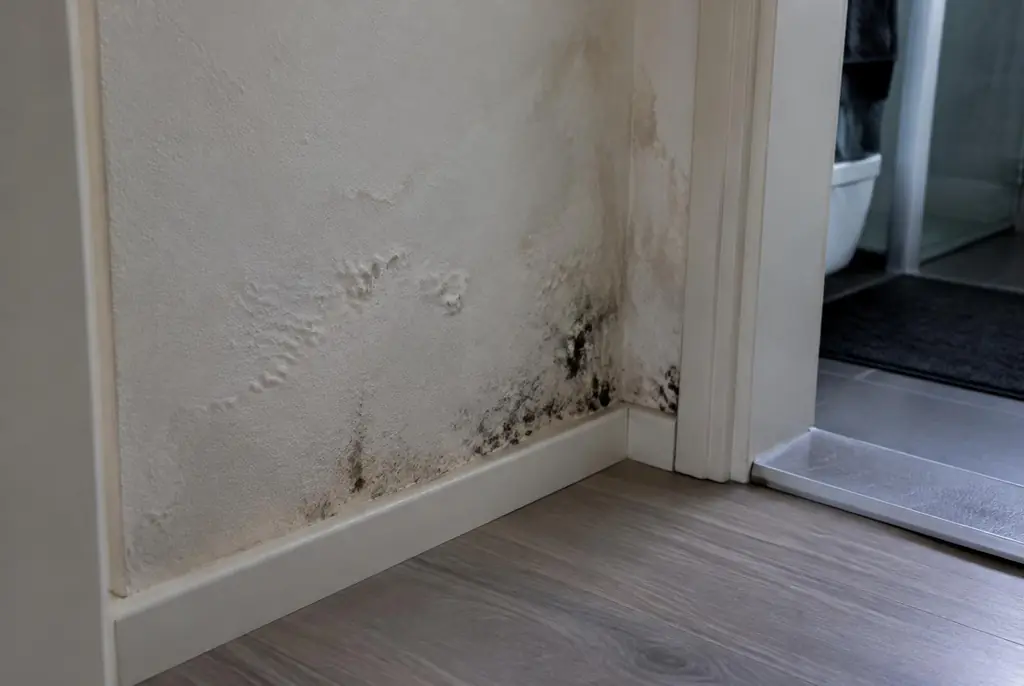 Lekdetectie IJsselstein – vochtplek met schimmel op een muur